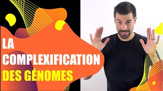 COURS DE TERMINALE SPÉCIALITÉ SVT  CHAP3 LA COMPLEXIFICATION DES GÉNOMES Bio Logique [upl. by Eimrej]