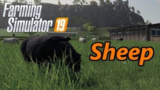 Farming Simulator 19 Tutorial  Sheep [upl. by Lucchesi]