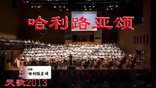 基督教 百年经典 赞美诗： 哈利路亚颂（Hallelujah） 天歌2013 墨尔本音乐见证会 [upl. by Whetstone37]