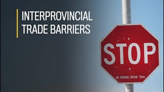 A look at interprovincial trade barriers [upl. by Winson842]