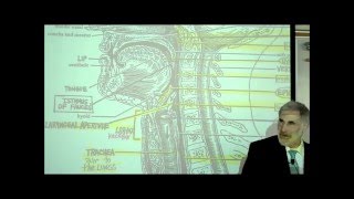 DIGESTIVE SYSTEM PART 2 PHARYNX HEAD amp NECK by Professor Fink [upl. by Haropizt102]