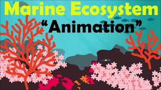 MARINE ECOSYSTEM  Biology Animation [upl. by Darahs265]