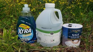 Natural Homemade Weed Killer Recipe Tested by Lawn Care Pro [upl. by Ojibbob]