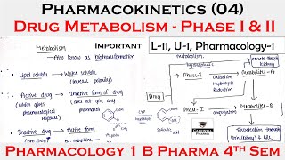 Pharmacokinetics 04  Drug Metabolism  Phase I amp II  L11 Unit1  pharmacology 4th semester [upl. by Marvella]