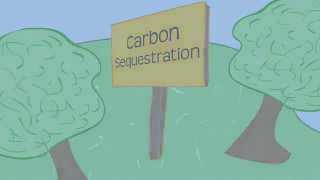 Carbon Sequestration 101 [upl. by Eltsyrhc]