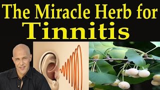 The Miracle Herb for Tinnitus  Dr Mandell [upl. by Laohcin679]