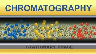 Chromatography Animation IQOGCSIC [upl. by Shep]