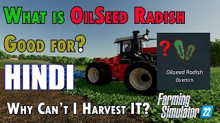 how to harvest oilseed radish in farming simulator 22 Hindi guide [upl. by Drusilla]