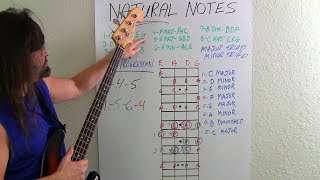 Bass Guitar For Beginners What Bassists Should Know [upl. by Roselia]