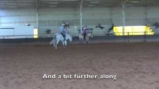 A bolting Percheron at a clinic [upl. by Epstein602]