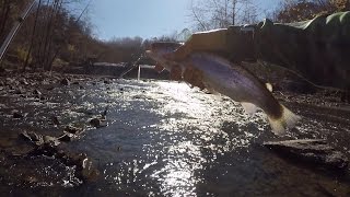 How to Fish for Trout in a RiverCreek by 1Rod1ReelFishing [upl. by Ellord]