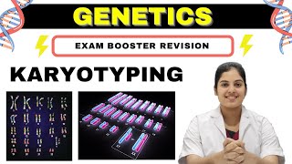 GENETICS  Karyotyping  Basics Procedure amp Application  MedSeed MBBS [upl. by Adyeren]