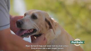 PetSafe® Training op afstand  De halsband juist aanleggen [upl. by Malina]