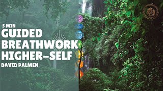 Higher Self Breathwork Session  5 Min Beginner Chakra Activation [upl. by Neliak336]