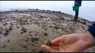 Pêche à Pied en Bretagne palourdeshuitresbigorneaux [upl. by Hornstein585]