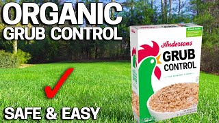 How to Get Rid of Grubs ORGANICALLY in the LAWN [upl. by Akenn]