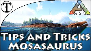 Fast Mosasaurus Taming Guide  Ark  Survival Evolved Tips and Tricks [upl. by Acinnor]