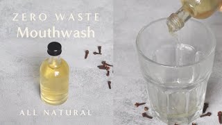 Natural amp Zero Waste Mouthwash DIY Recipe [upl. by Brok679]