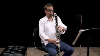 Instrument Bass Clarinet In Depth [upl. by Aicargatla]