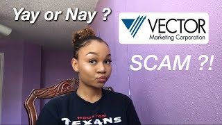 VECTOR MARKETING  CUTCO A SCAM [upl. by Nnitsuj774]