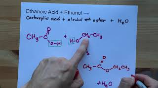 Ethanoic Acid  Ethanol   Ester Reaction [upl. by Orag168]