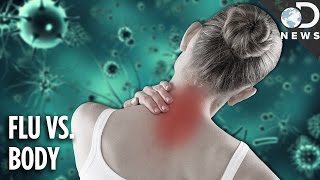 Why The Flu Causes Aches amp Pains [upl. by Krakow616]