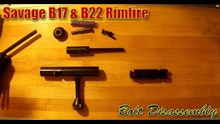 Savage B17 amp B22 Bolt Disassembly amp Reassembly [upl. by Manup713]