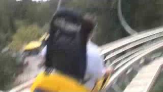 Alpine Coaster Crash [upl. by Zicarelli]