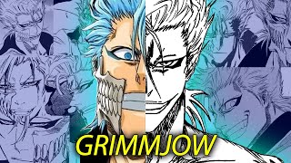 Grimmjow Jaegerjaquez THE REBEL  BLEACH Character Analysis [upl. by Holton429]