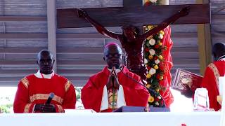 Uganda Martyrs Namugongo 2017 celebration mass [upl. by Inez]