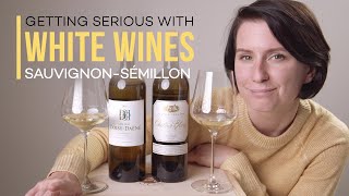 Fine White Wine Sauvignon BlancSémillon  Wine Folly [upl. by Ailla259]