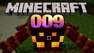 Lets Play Minecraft 009 Deutsch HD  Affenhaus amp Seidenkrieger [upl. by Curhan584]