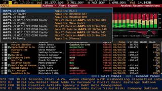 Bloomberg Terminal Part 1  Quick Introduction to Basic Functions [upl. by Celestyn]