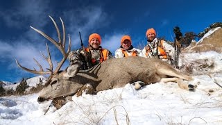 Massive Montana Mule Deer [upl. by Lakym]