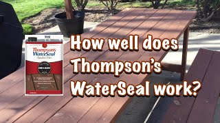 Dad Reviews Thompson’s WaterSeal [upl. by Lisabet]