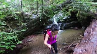 Hiking Double Dipsea trail to Stinson beach Muir woods [upl. by Doownyl]