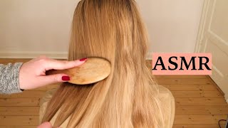 ASMR 1 HOUR HAIR BRUSHING COMPILATION NO TALKING [upl. by Ameerahs]