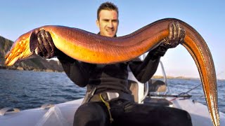 Giant EEL FISH Catch and Cook [upl. by Iaw]