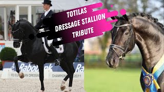 RIP Totilas Dressage Stallion Tribute 20002020 [upl. by Kcirdor368]