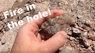 Digging for Fire Agates  Rockhounding Oatman AZ [upl. by Eelanna]