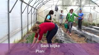 Plastenik u 4 minute obrazovanje za početnike Greenhouse in 4 minutes Great [upl. by Cilurzo]