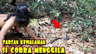 TARZAN KEWALAHAN SAAT BERHADAPAN DENGAN SI HITAM [upl. by Otreblanauj836]