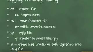 Basic Unix commands [upl. by Wilma]