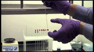 Basic NMR Sample Preparation  Yale CBIC [upl. by Florian]