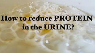 How to Reduce Protein in the Urine  TIPS [upl. by Schlesinger]