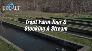 Cobalt Trout Farm Tour and Stocking A Stream [upl. by Hazmah]