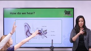 Classifications of Signals in Signals amp Systems An Overview [upl. by Genni55]