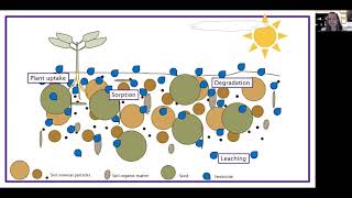 HerbicideSoil Interactions — Take Actions quotInside Weed Managementquot Series [upl. by Olpe]