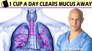 1 CUP A DAY CLEARS MUCUS AWAY  Dr Alan Mandell DC [upl. by Oruhtra639]