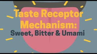 Taste Receptors [upl. by Theall]